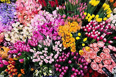 《模拟美景摄影》大量截图公布 推荐GTX 1080显卡