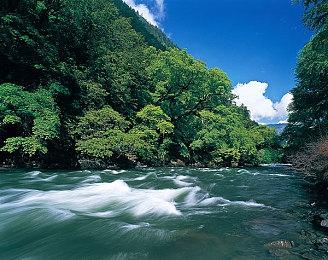 Fami通新一周销量榜 《皮克敏4》四连冠